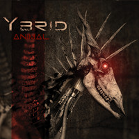 Ybrid - Animal