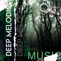 DJ Joe Simpson - The Genres Deep House & Melodic House