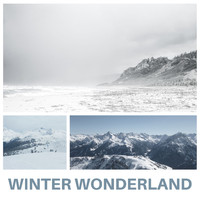 MiniMalize - Winter Wonderland