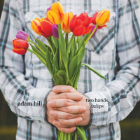 Adam Hill - Two Hands, Tulips