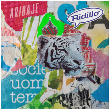 Ridillo - ARIDAJE