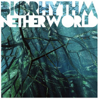 Biorhythm - Netherworld