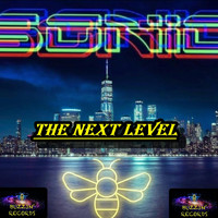 Sonic - The Next Level (Explicit)