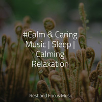 Study Concentration, Smart Baby Lullaby, White Noise Sound Garden - #Calm & Caring Music | Sleep | Calming Relaxation