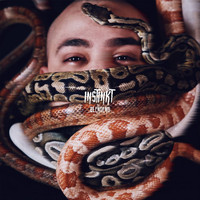 Instinkt - BLENDEND (Explicit)