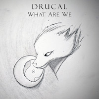 Drucal - What Are We
