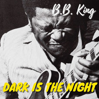 B.B. King - Dark Is The Night