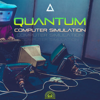 Quantum - Computer Simulation