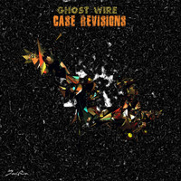 Ghost Wire - Case Revisions