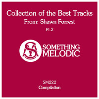 Shawn Forrest - Collection of the Best Tracks From: Shawn Forrest, Pt. 2