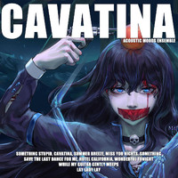 Acoustic Moods Ensemble - Cavatina