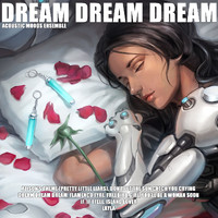 Acoustic Moods Ensemble - Dream Dream Dream