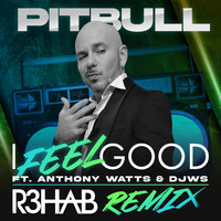 Pitbull - I Feel Good (R3HAB Remix)