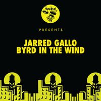 Jarred Gallo - Byrd In The Wind