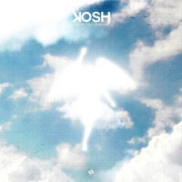 Kosh - From the Heaven