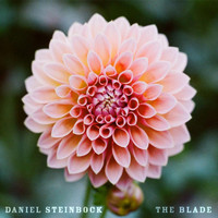 Daniel Steinbock - The Blade
