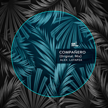 Alex Latapia - Compañero