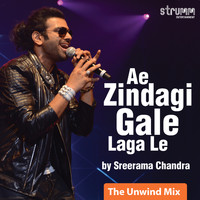Sreerama Chandra - Ae Zindagi Gale Laga Le (The Unwind Mix)