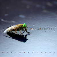 Mario Marinoni - Metamorfosi (Explicit)