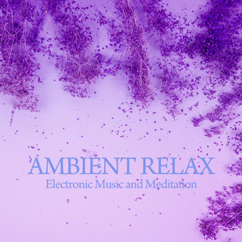 Various Artists - Ambient Relax (Electronic Music and Meditation)