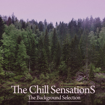 Various Artists - The Chill Sensations (The Background Selection)