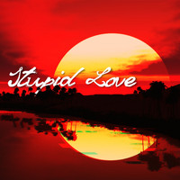 Trent - Stupid Love
