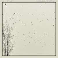 Sarah Spring - November on the Mountain