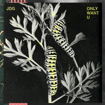 JDG - ONLY WANT U