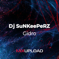 DJ Sunkeeperz - Gidro