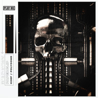 Paperclip - Koef / Polydome