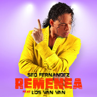 Seo Fernandez - Remenea
