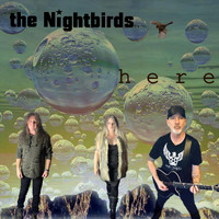 The Nightbirds - Here