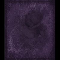 The Eternal - Endless Night