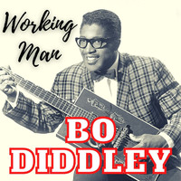 Bo Diddley - Working Man