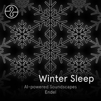 Endel - Winter Sleep