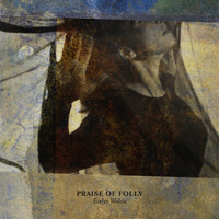 Praise Of Folly - Evelyn Widow