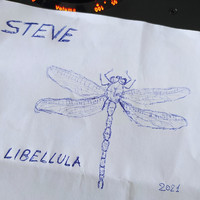 Steve - Libellula