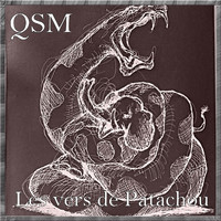 QSM - Les vers de Patachou (Explicit)