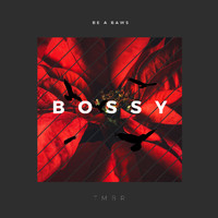 TMBR - Bossy
