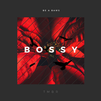 TMBR - Bossy