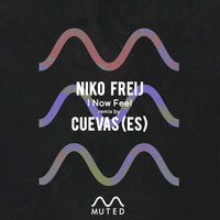 Niko Freij - I Now Feel