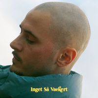 Huset - Inget så vackert