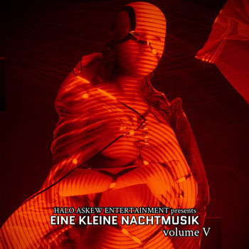 Various Artists - Eine Kleine Nachtmusik vol 5