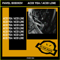 Pavel Bibikov - Acid Yea