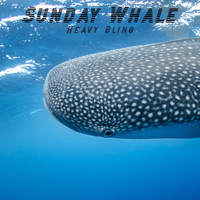 Sunday Whale - Heavy Bling