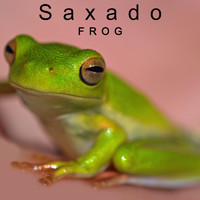 Saxado - Frog