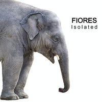 Fiores - Isolated