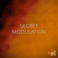 Adjust - Secret Modulation