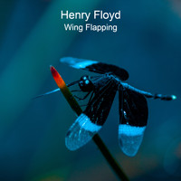 Henry Floyd - Wing Flapping