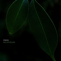 Pheek - Millefolium